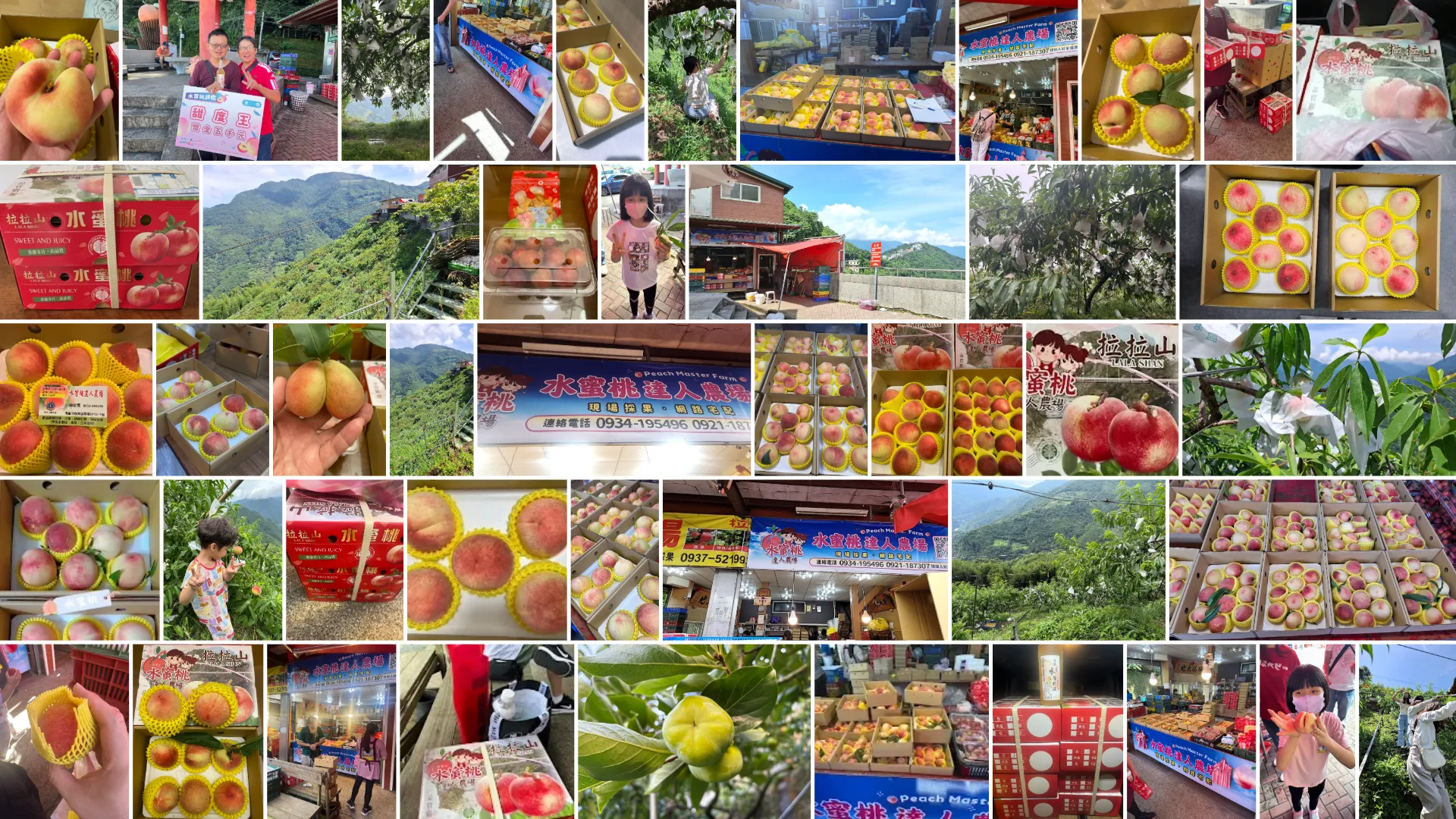 〈從年輕吃到變阿公：那些陪著我們長大的老客戶〉