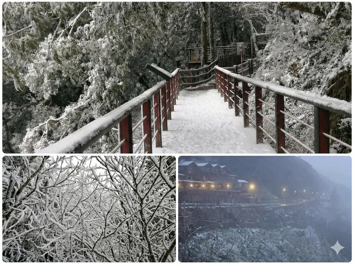 〈今年冬天夠冷嗎？對明年拉拉山水蜜桃意味著什麼？〉