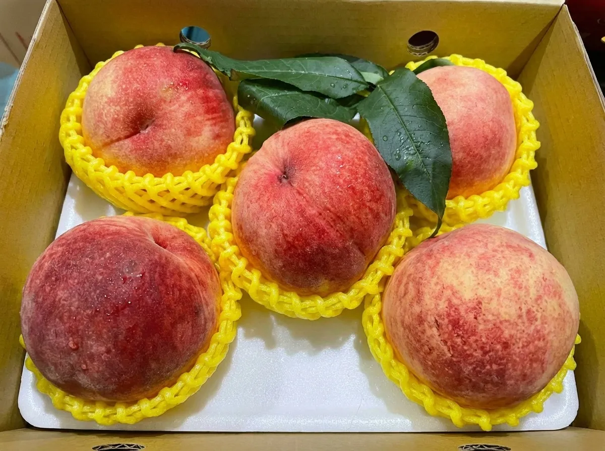 頂級巨無霸 5 粒裝禮盒