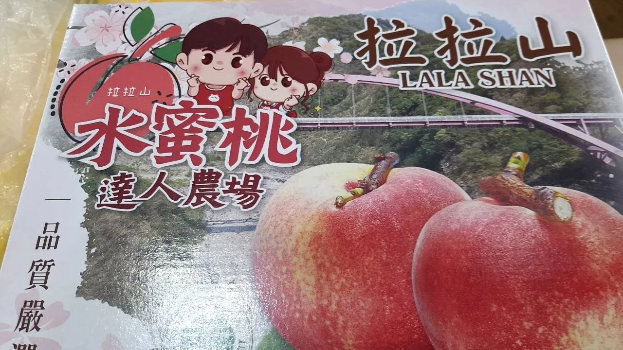 2026 拉拉山水蜜桃預購開放｜5月20日起依序出貨